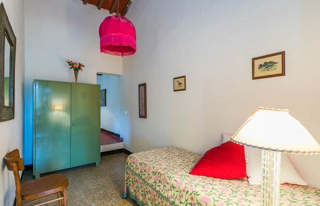 Fattoria Petraglia - Di Mezzo (MTG202) - Foto 8