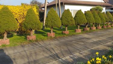 Domek pod Przehybą, Noclegi w okolicy Stary Sącz, Łącko, Szczawnica - Foto 2