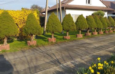 Domek pod Przehybą, Noclegi w okolicy Stary Sącz, Łącko, Szczawnica - Foto 2