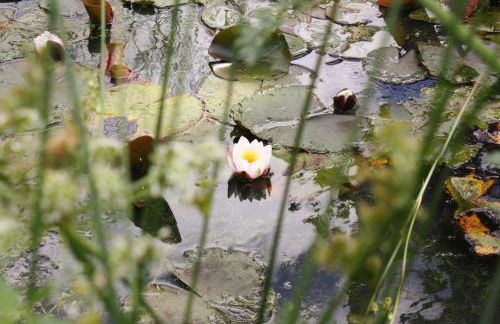 Frame Farm - Sleeps 20 in 1-6 Weaver's Cottages & The Byre barn - Foto 50