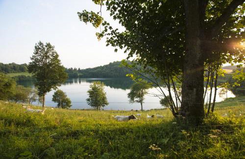 Haus Alleegarten - Photo 23