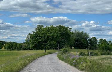 Domek nad Śniardwami - Foto 30