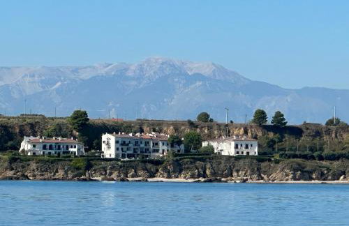 Happy Penna - Foto 2