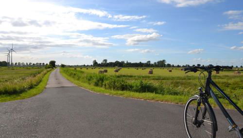 Ferienwohnung Rotbuche, 25517 - Foto 2
