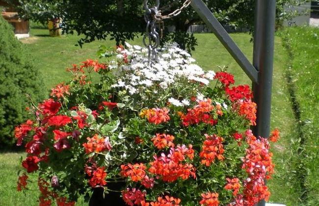 Saphir EG Süd - Foto 6