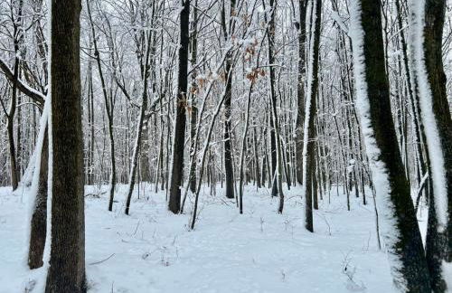 Maison Flambeau - Foto 60