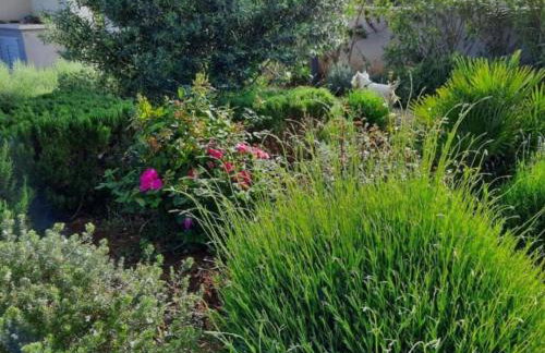 Adriatic Pearl - Foto 58