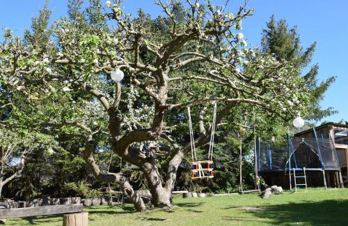 Alpakatherapie und Ferienhof Charlottenthal - Foto 10