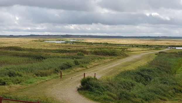 8 Person Holiday Home in Skjern - Foto 5, Miscelánea