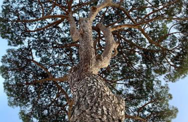 Tenuta Novecento Bio Agriturismo - Foto 128