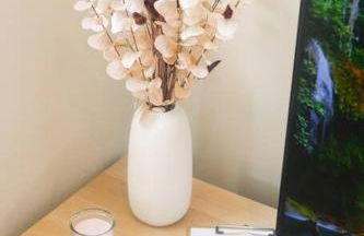 Chez Lily hypercentre climatisé - Photo 13