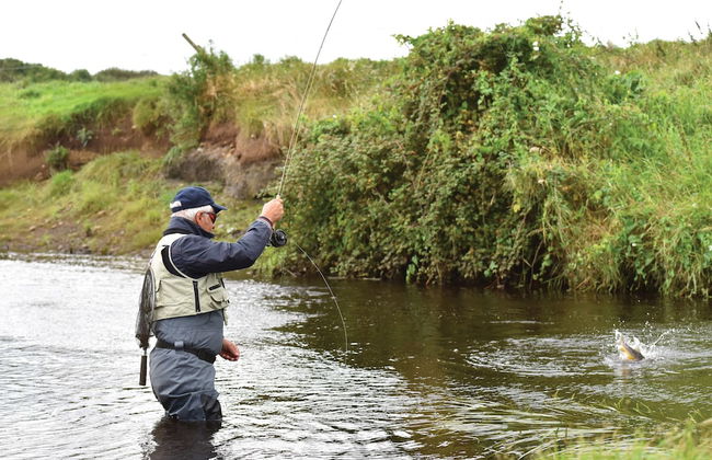 Kilkea Castle - Foto 21