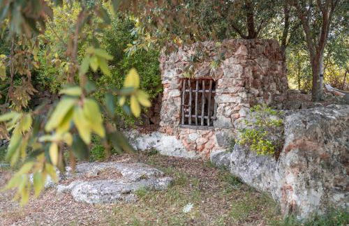 Can Company - Foto 74