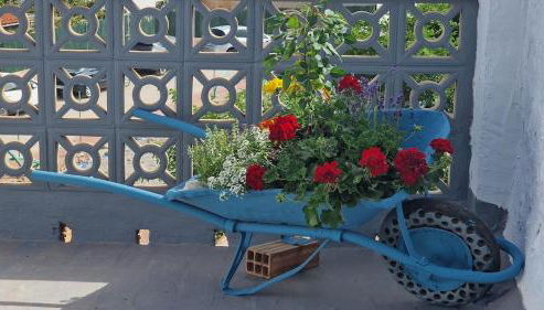 La Replaceta - Foto 4