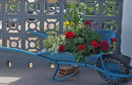 La Replaceta - Foto 4