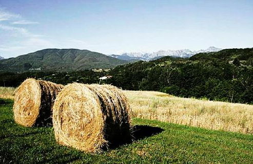 Agriturismo Paneolio - Foto 39