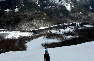 Incredible Modern Tiny Log Cabin near the Ammonoosuc River for a Romantic Getaway in New Hampshire - Foto 9