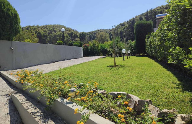 Skopelos Country House Diamantis & Chrisi - Foto 56