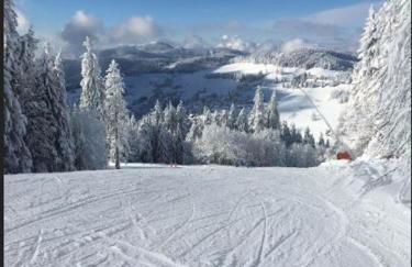 Haus am Sonnenberg,Todtnauberg, Ferienwohnung 105, direkt am Skilift-Skipiste, Nähe Feldberg - Foto 25