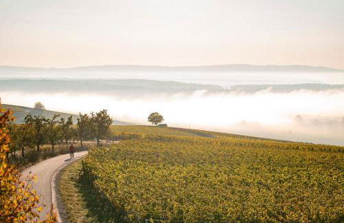 NEU Villa Maison Eveline mit Hästens Betten & Privat Spa - chez Douverne - Foto 41