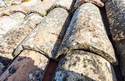 Agriturismo La Corte del Lupo - Photo 26