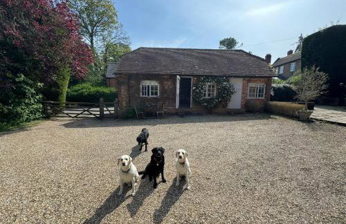 Charming one bedroom cottage - Foto 20