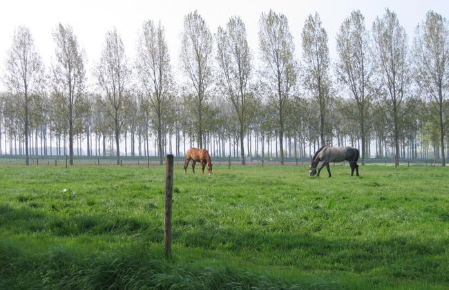 Farmhouse Home in Eede - Foto 23