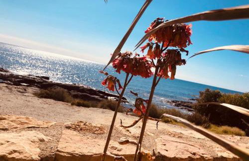 Villa Mangata - Photo 57