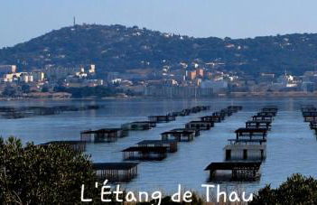 Suite Intemporelle - Foto 30