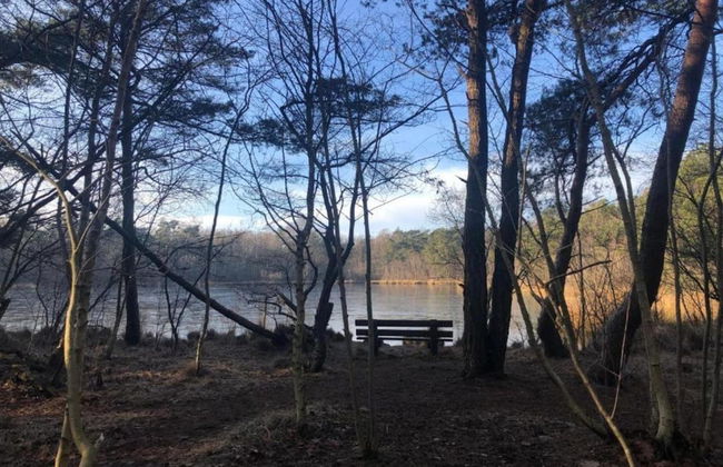 Holiday Lodge in Staphorst With Pool Access - Photo 31