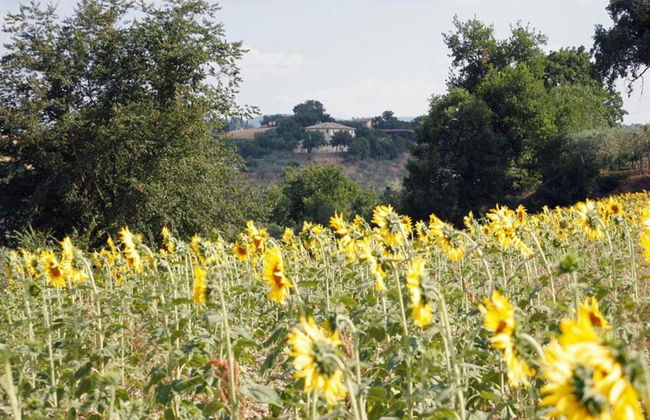 Scenic Stay in Spoleto - Foto 29