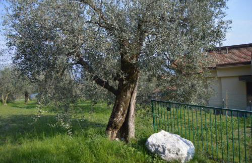 La Casetta - Foto 30