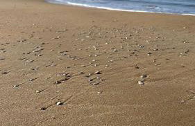 Villa Berenice - Foto 43