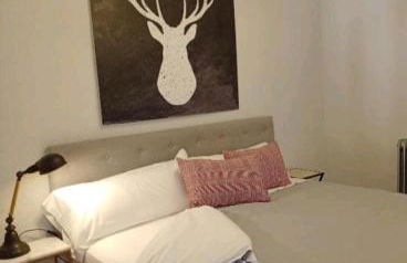 Origen Pelaire excelente limpieza y ubicacion - Photo 7