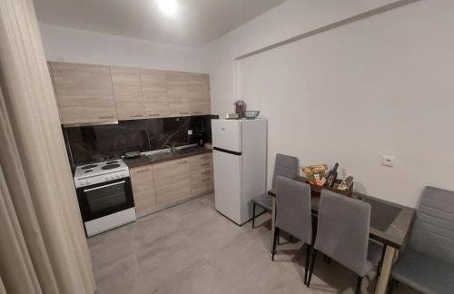 Irina's Apartment - Photo 68