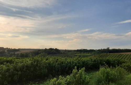 Agroturystyka w Dolinie Stawów - Photo 39