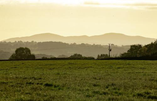 Frith Green - Foto 47