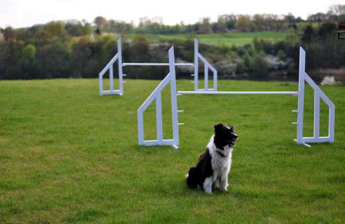 Modrzewiowe Wzgorze - Foto 23