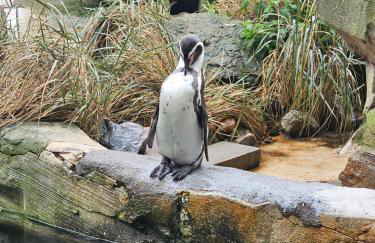 Familienfreundliche FeWo für 6 Personen - Photo 24