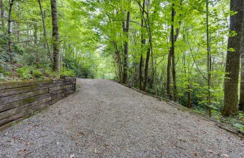 Sapphire Valley Cabin with Private Mountain Views! - Foto 39