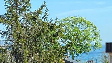 Elite Apartments Parkowa Economy - Foto 3