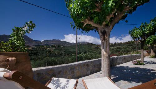 Kallimento-Dimitra - Foto 3