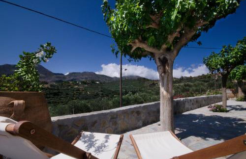 Kallimento-Dimitra - Foto 3