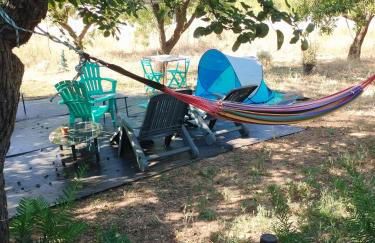 Mas de Manresa - Foto 5