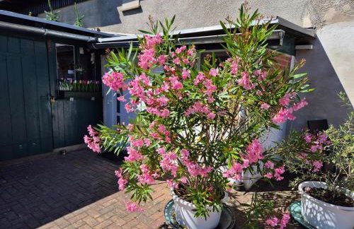 Ferienwohnung Schorfheide Krüger - Photo 3
