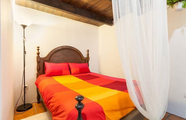 Conheca O Minho E Descanse Em Plena Natureza Sinta-se em Casa - Foto 2