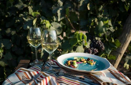 Is Cheas wine farm boutique hotel - Foto 24