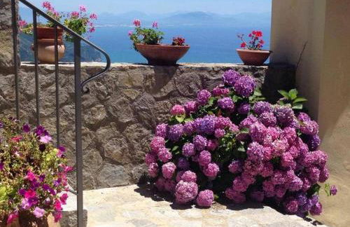 Guest House Malù - Foto 21