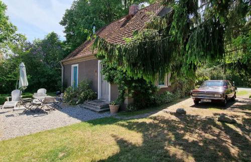 Pommernhaus Josephinenhof, Sauna, Kamin, Ruderboot - Foto 13