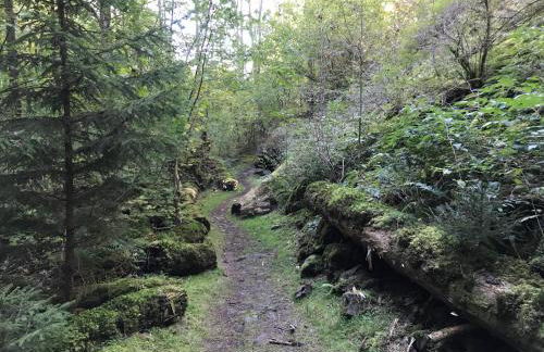 Tolle Ferienwohnung mit Loggia in Schauenstein 100qm bei Hof an der Saale Frankenwald - Foto 60